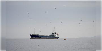 Read more about - Iran-US | ‘মধ্যপ্রাচ্যের একটিও বন্দর নিরাপদ থাকবে না’! আমেরিকাকে ‘জলদস্যু’ বলে তোপ দেগে হুশিয়ারি ইরানের!