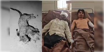 Read more about - Gujarat | জীবন বাজি রেখে বাঘের মুখ থেকে ছেলেকে উদ্ধার বৃদ্ধ-র! গুজরাটের ঘটনায় চাঞ্চল্য