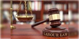 Read more about - নয়া ওয়েজ কোডে বড়সড় পরিবর্তন কেন্দ্রীয় সরকারের! সময় থেকে বেতন, সবকিছুরই পরিবর্তন