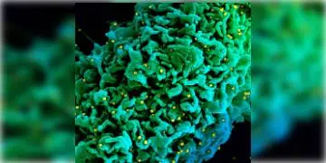 Read more about - শুধু ডেল্টা প্রজাতি নয়, করোনার আরও ৪ প্রজাতি নিয়ে চিন্তিত বিশ্ব