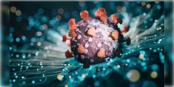 Read more about - Covid 19 XEC | আতঙ্ক ছড়াচ্ছে করোনার নয়া স্ট্রেন XEC! কী কী লক্ষণ দেখা দিলে সতর্ক হবেন?