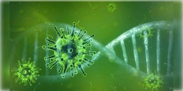 Read more about - করোনার নতুন ভ্যারিয়েন্ট ‘ওমিক্রন’ নিয়ে বিশ্বজুড়ে বাড়ছে আতঙ্ক