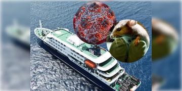 Read more about - Hantavirus | প্রমোদতরীতে হান্টাভাইরাসের প্রাদুর্ভাব, মৃত্যু ৩ জনের! কীভাবে ছড়ায় এই ভাইরাস? কতটা বিপদজনক? চিকিৎসা-ই বা কী?