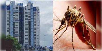 Read more about - Dengue Alert | অক্টোবর-নভেম্বরে 'হাই-রিস্ক', ডেঙ্গি নিয়ে একাধিক পদক্ষেপ নবান্নের!