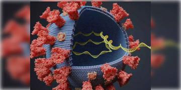 Read more about - ওমিক্রন আতঙ্কে সতর্কতা অবলম্বন করছে বাংলাদেশ Bangladesh warns of Omicron panic