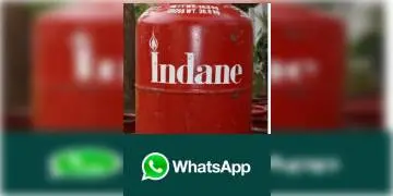 Read more about - এবার হোয়াটসঅ্যাপে বুক করুন রান্নার গ্যাস, কিন্তু কিভাবে ? জেনে নিন পদ্ধতি !
