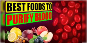 Read more about - Blood Purification Superfoods । রক্ত থেকে টক্সিন দূর করে সার্বিক শরীর সুস্থ্য রাখতে খাবেন কোন কোন সুপারফুড?
