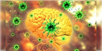 Read more about - কোভিড এনকেফ্যালোপ্যাথি: এবার মস্তিষ্কে দাপট করোনাভাইরাসের, কপালে ভাঁজ চিকিৎসক মহলের !