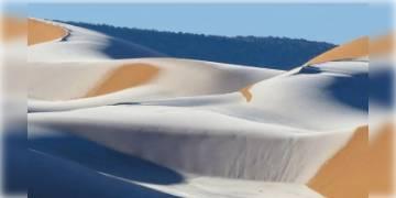 Read more about - ম্যাজিক রিয়ালিজম, সাহারায় ফের শিহরন। 