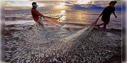 Read more about - BGBS 2025 | আশার আলো দেখছেন মৎস্যজীবীরা! BGBS-এ মৎস্য ক্ষেত্রে ১২৬ কোটি ৩৬ লক্ষ টাকার বিনিয়োগের প্রস্তাব!