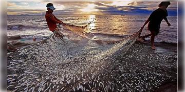 Read more about - BGBS 2025 | আশার আলো দেখছেন মৎস্যজীবীরা! BGBS-এ মৎস্য ক্ষেত্রে ১২৬ কোটি ৩৬ লক্ষ টাকার বিনিয়োগের প্রস্তাব!