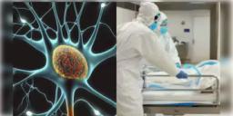 Read more about - Guillain Barre Syndrome | বিরল স্নায়ুর রোগ গুলেন বারিতে আক্রান্ত শতাধিক! মহারাষ্ট্রে মৃত্যু এক ব্যক্তির