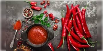 Read more about - ঝাল ও মশলাদার খাবার আপনার শরীরের কী কী ক্ষতি করছে জানেন?                           