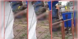 Read more about - Madhya Pradesh | জোর করে মদ্যপান করিয়ে মহিলাকে ফুটপাতে প্রকাশ্য দিবালোকে ধর্ষণ! ভয়ঙ্কর ঘটনা মধ্য প্রদেশে