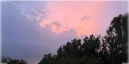 Read more about - Weather Update | কমছে শীতের প্রকোপ, একনজরে কলকাতার আজকের আবহাওয়া আপডেট