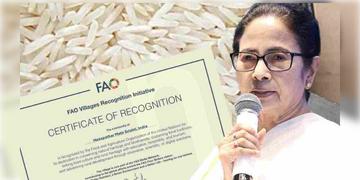 Read more about - Mamata Banerjee | গোবিন্দভোগ-তুলাইপাঞ্জি-কনকচূড় চালকে 'হেরিটেজ' স্বীকৃতি রাষ্ট্রপুঞ্জের, শংসাপত্র ‘মাটির সৃষ্টি' প্রকল্পকেও!