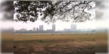 Read more about - ফের শীতের প্রাক্কালে বাংলায় প্রভাব পড়তে পারে নিম্নচাপের, পারদ নামল কুড়িতে! জানুন কেমন আবহাওয়া থাকবে