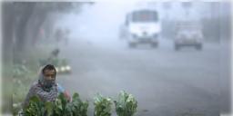 Read more about - Weather Update | বিদায় শীত! ফেব্রুয়ারিতেই বসন্তের আগমন, একনজরে কলকাতার আজকের আবহাওয়া আপডেট