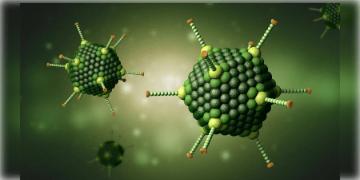 Read more about - Adenovirus in West Bengal: কলকাতায় অ্যাডিনোভাইরাসে ১৩ শিশুর মৃত্যু!