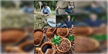 Read more about - দাম আকাশছোঁয়া, হাতির প্রাতঃক্রিয়া থেকে তৈরি হয় বিশ্বের সুস্বাদু ও দামী কফি