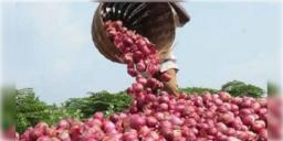 Read more about - Onion Export Tax | পেঁয়াজের উপর ২০ শতাংশ রপ্তানি শুল্ক বা এক্সপোর্ট ডিউটি প্রত্যাহার করলো কেন্দ্র সরকার!