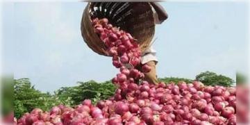 Read more about - Onion Export Tax | পেঁয়াজের উপর ২০ শতাংশ রপ্তানি শুল্ক বা এক্সপোর্ট ডিউটি প্রত্যাহার করলো কেন্দ্র সরকার!