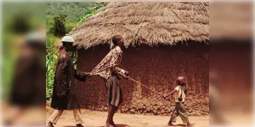 Read more about - Tiltepec Blind Village | অদ্ভুদ গ্রাম! মানুষ থেকে শুরু করে এই গ্রামের সব পশুপাখিই অন্ধ!