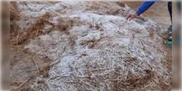 Read more about - Purulia | পুরুলিয়ায় বরফ! তাপমাত্রা জিরো ডিগ্রির নিচে না নেমেও কী করে হচ্ছে তুষারপাত?