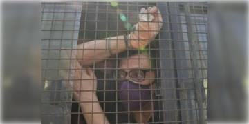 Read more about - বোম্বেকোর্ট রিপাবলিক টিভির অর্ণব গোস্বামীর জামিনের আবেদন খারিজ করায় 'সুপ্রিম' দ্বারে যাবেন তিনি !