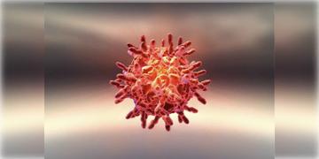 Read more about - Kerala । মাস্ক পরা শুরু করুন, ভাইরাস নিয়ে কড়া ঘোষণা কেরালার মুখ্যমন্ত্রীর