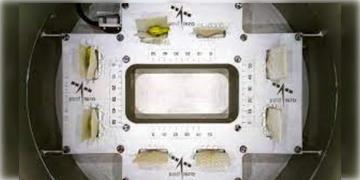 Read more about - ISRO । মহাকাশে চাষ হবে বরবটি! দিশা দেখালো ভারতীয় মহাকাশ গবেষণা কেন্দ্র ইসরো