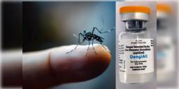 Read more about - Dengue Vaccine | আগামী বছরই বাজারে আসছে ডেঙ্গুর ভারতীয় টিকা 'ডেঙ্গিঅল',  স্বস্তির খবর দিল ICMR!