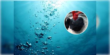 Read more about - Dark Oxygen | গভীর সমুদ্রে, সম্পূর্ণ অন্ধকারে সালোকসংশ্লেষ ছাড়াই তৈরী হয় অক্সিজেন! গভীর সামুদ্রিক জীবনকে বাঁচিয়ে রেখেছে এই বিশেষ কালো পাথর