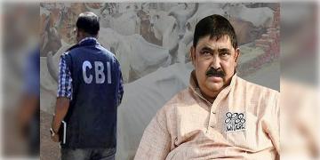 Read more about - গরু পাচার কান্ডের জেরে অনুব্রত মণ্ডলকে গ্রেফতার করলো ইডি