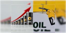 Read more about - Crude Oil | টানা তৃতীয় দিন তেলের দামে বৃদ্ধি, অপরিশোধিত তেলের দাম ৯০ ডলারে ফের বাড়ছে!