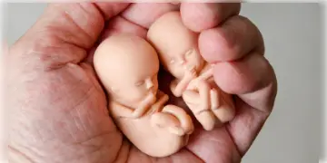 Read more about - Women Abortion Rights: সকল নারী নিরাপদ ও আইনগত গর্ভপাতের অধিকারী