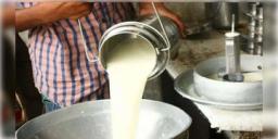 Read more about - Milk Price Hike | এলপিজি সিলিন্ডার, পেট্রোল-ডিজেলের পর এবার দাম বাড়তে চলেছে দুধের! কবে থেকে কত টাকা বাড়ছে?