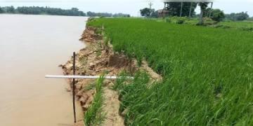 Read more about - বিঘার পর বিঘা জমি দামোদরের গ্রাসে, নদীতে ভাঙনের ফলে তলিয়ে যাচ্ছে দোফসলি ও তিনফসলি জমি