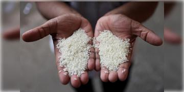 Read more about - India-Bangladesh | বাংলাদেশের বাজারে অগ্নিমূল্য কমাতে প্রায় দুবছর পর চালু ভারত থেকে চাল রপ্তানি