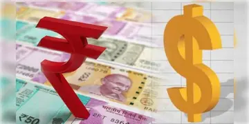 Read more about - Rupee Rises | বুধবার বাজার খোলার পরই মার্কিন ডলারের তুলনায় বাড়লো টাকার দাম
