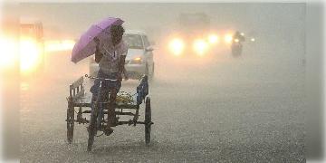 Read more about - Cyclone Michaung | ল্যান্ডফল হওয়ার পূর্বে তান্ডব ‘মিগজ়াউম’-এর! তামিলনাড়ুতে মৃত ২, জলমগ্ন অঞ্চলে ঘুরছে কুমির! জারি ১৪৪ ধারা! প্রভাব পড়বে বঙ্গেও!