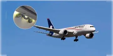 Read more about - তীব্র চাঞ্চল্য! দমদম বিমানবন্দরে যাত্রীবাহী বিমানের ভিতরে সাপ