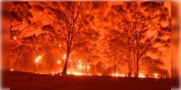 Read more about - প্রবল গরমে পুড়ছে অস্ট্রেলিয়া, দাবানলের সতর্কতা জারি করছে আবহবিদরা ।  