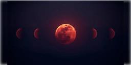 Read more about - Blood Moon | কলকাতার আকাশে দেখা যাবে রক্তলাল চাঁদ! কটার সময় দেখতে পাবেন 'Blood Moon'?