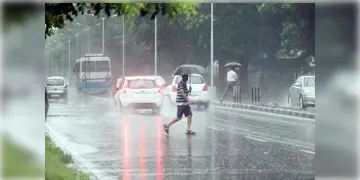 Read more about - Weather Update: সুখবর, সপ্তান্তে বৃষ্টিতে ভিজতে পারে কলকাতা-সহ দক্ষিণবঙ্গ