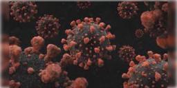 Read more about - Covid19 in WB | রাজ্যে হু হু করে বাড়ছে করোনা আক্রান্তের সংখ্যা, আক্রান্তের সংখ্যা বেড়ে হয়েছে ২৮৭