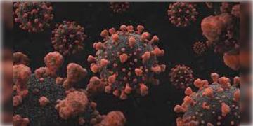 Read more about - Covid19 in WB | রাজ্যে হু হু করে বাড়ছে করোনা আক্রান্তের সংখ্যা, আক্রান্তের সংখ্যা বেড়ে হয়েছে ২৮৭