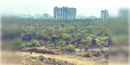 Read more about - Hyderabad University | বনাঞ্চল ধ্বংস করে তথ্যপ্রযুক্তি পার্ক! ৪০০ একর জমিতে বুলডোজার চালিয়ে গাছ কাটায় স্থগিতাদেশ হাইকোর্টের!