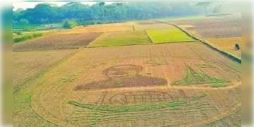 Read more about - সরষে ক্ষেতে বঙ্গবন্ধুর প্রতিকৃতি এঁকে তাক লাগালেন বাংলাদেশের কৃষক।    