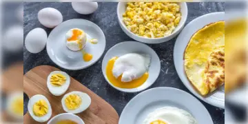 Read more about - Benefit Of Different Type Egg Recipe |  সিদ্ধ ডিম না ওমলেট? জানুন কোনটাতে বেশি উপকারিতা